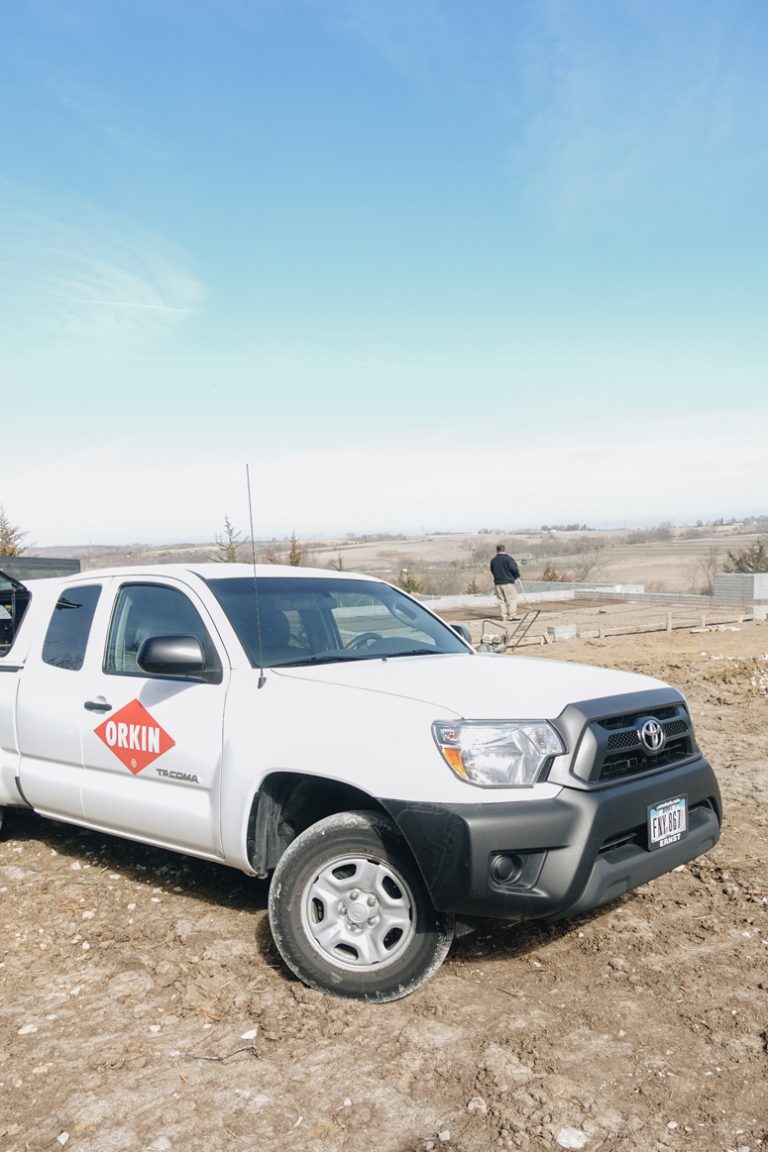 Termite Treatment with Orkin Pest Control